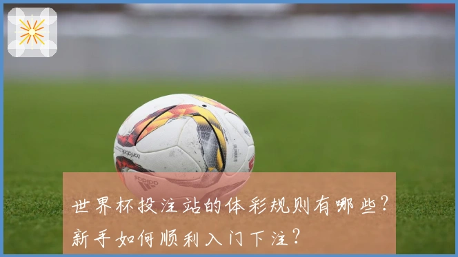 世界杯投注站的体彩规则有哪些？新手如何顺利入门下注？