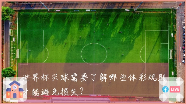 世界杯买球需要了解哪些体彩规则才能避免损失？
